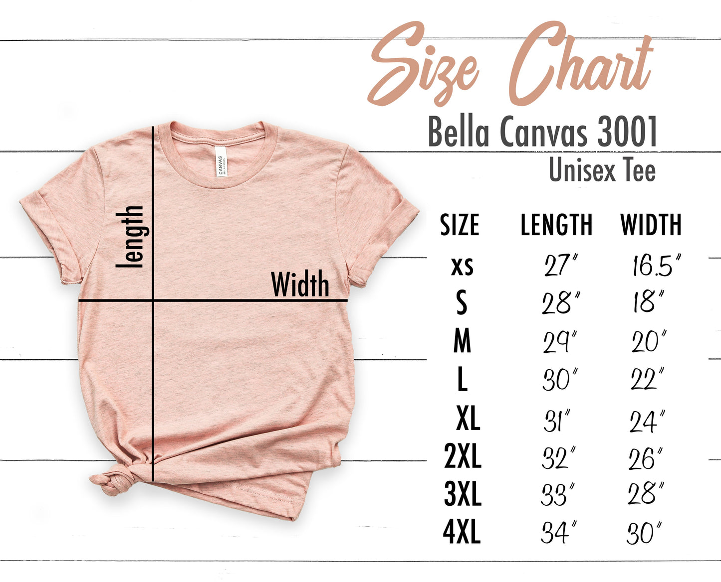 PLUS Size | Bella + Canvas Unisex Jersey T-Shirt
