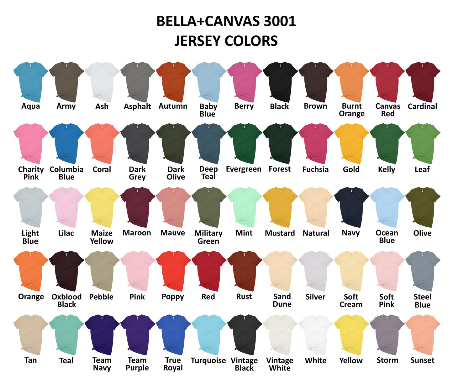 Bella + Canvas Unisex Jersey T- Shirt 2