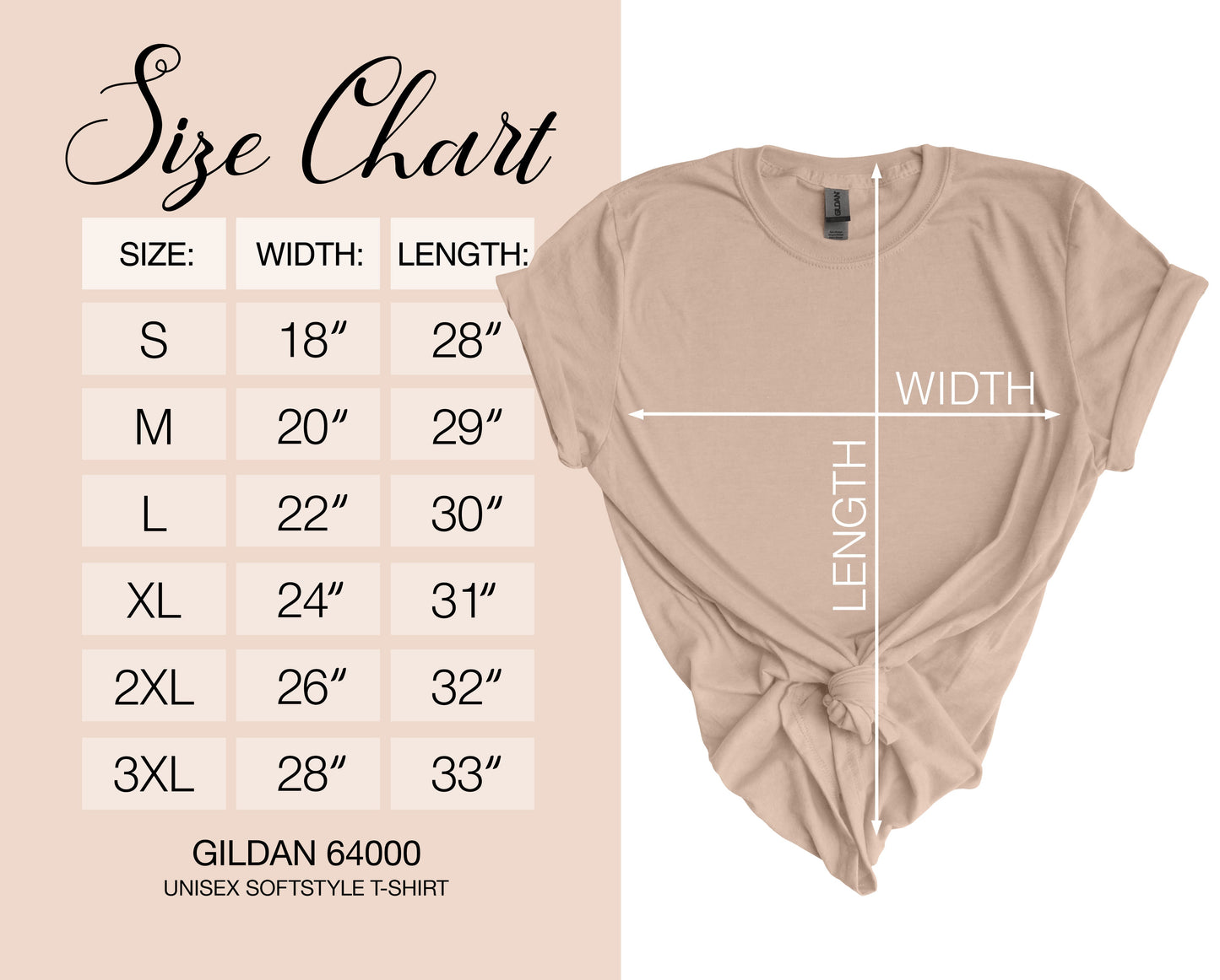 PLUS Size | Gildan Adult Softstyle® T-Shirt 2